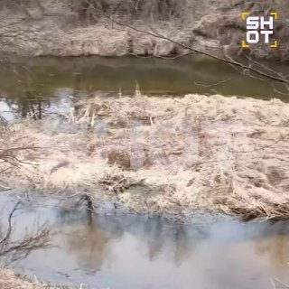 Более 140 клещей за прогулку собрал на себе белорус