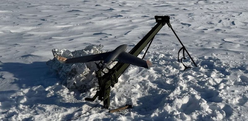 Иллюстрация 1