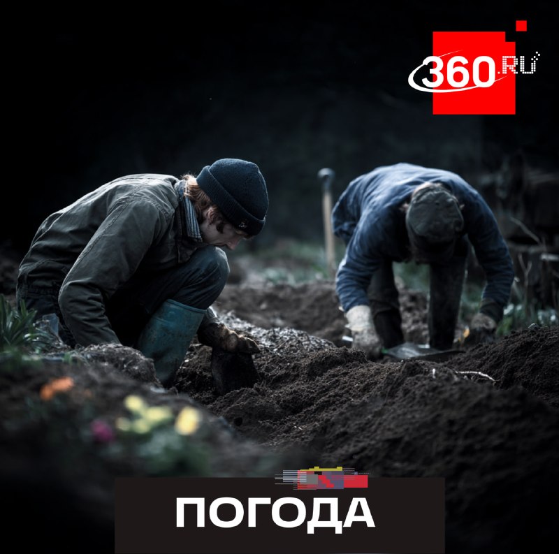 Прогноз погоды для дачников: как уберечь сад до начала вегетации