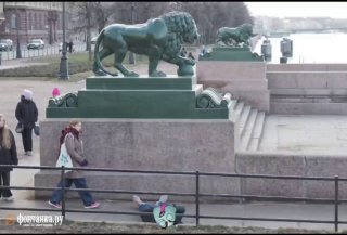 Иллюстрация 5