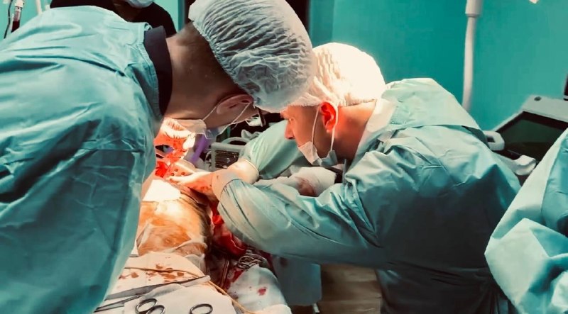 Иллюстрация 2