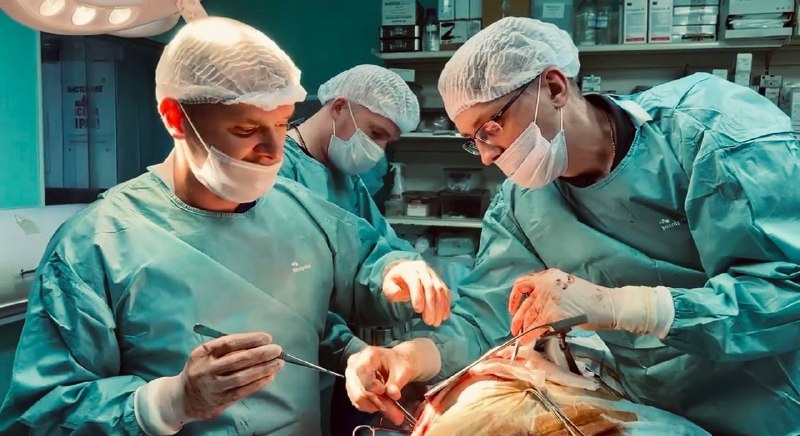 Иллюстрация 3