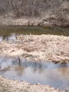 Рыбак снял с себя 140 клещей: в Беларуси массовое нашествие паразитов