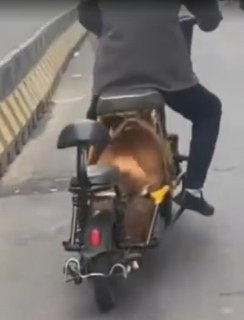 Иллюстрация 2