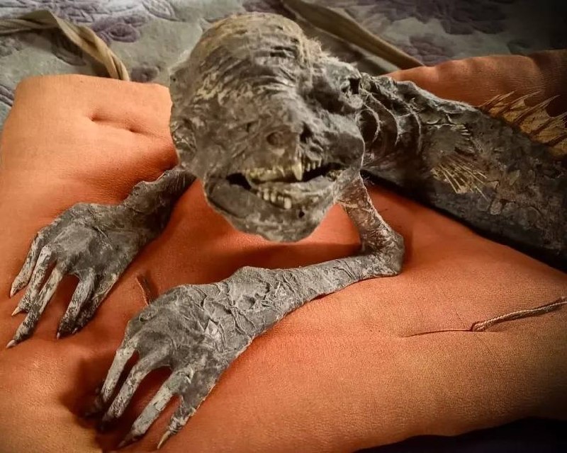 Иллюстрация 2