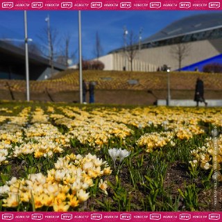 Прогноз погоды в Москве на 25 марта: днем до +12°