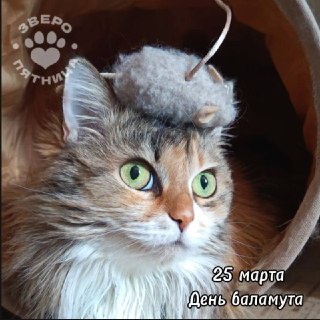 День смеха и розыгрышей: не 1 апреля, а сегодня