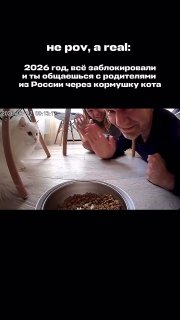 Россияне начали массово общаться с роднёй через умные кормушки для животных