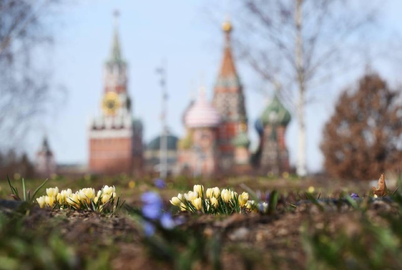 В Москве ожидаются первые в этом году затяжные дожди