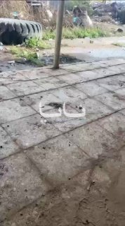 Иллюстрация 2