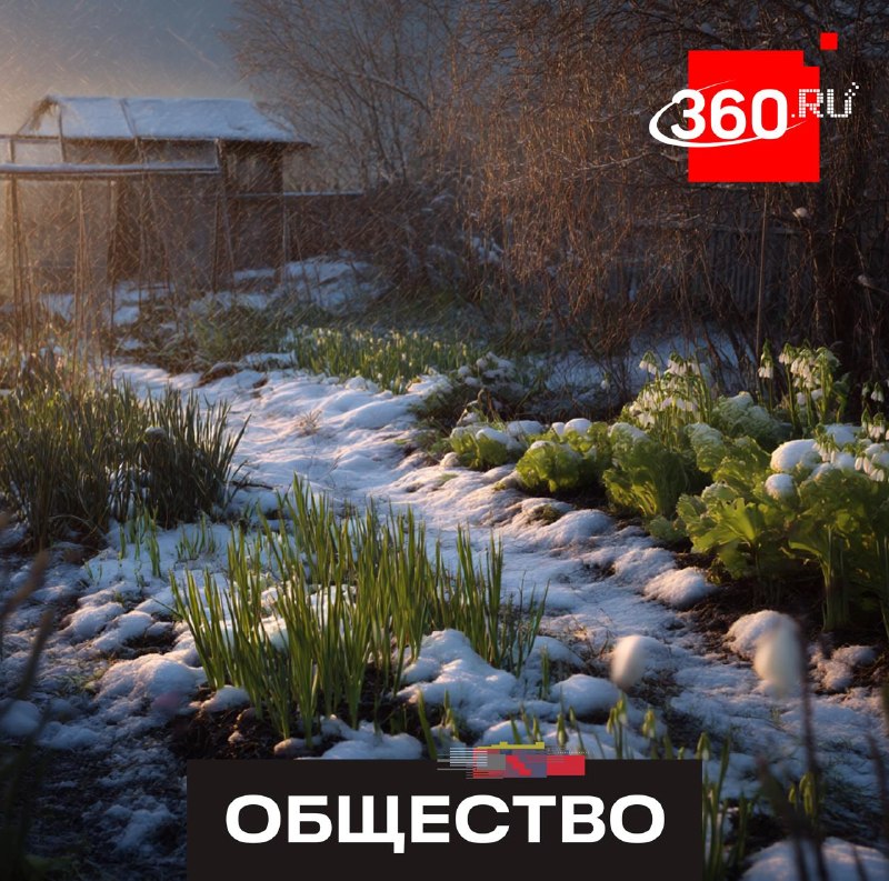 Что обязательно посеять и сделать на даче в апреле: советы агронома