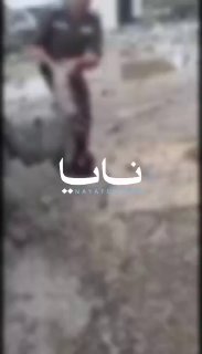 Иллюстрация 5