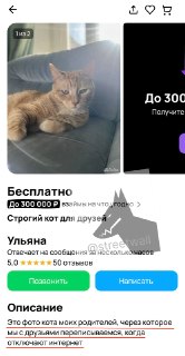 Россияне превратили «Авито» в мессенджер для общения во время блокировок