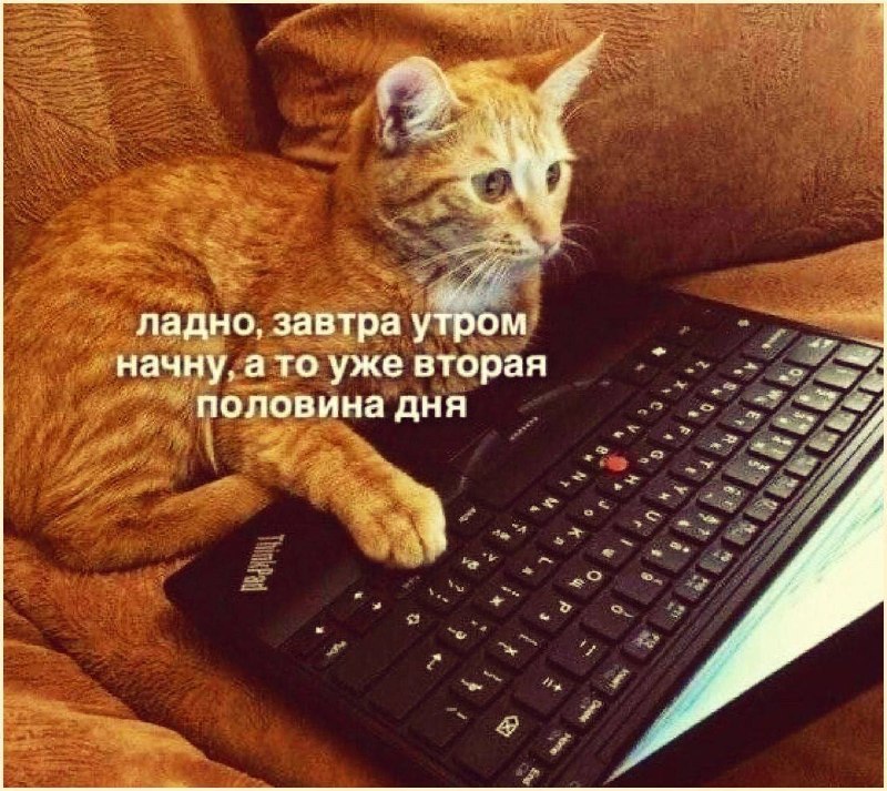 Международный день прокрастинации: повод отложить дела