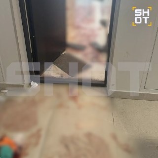 Покушение на жительницу элитного ЖК: подозреваемый с бананами устроил нападение, позже погиб в ДТП