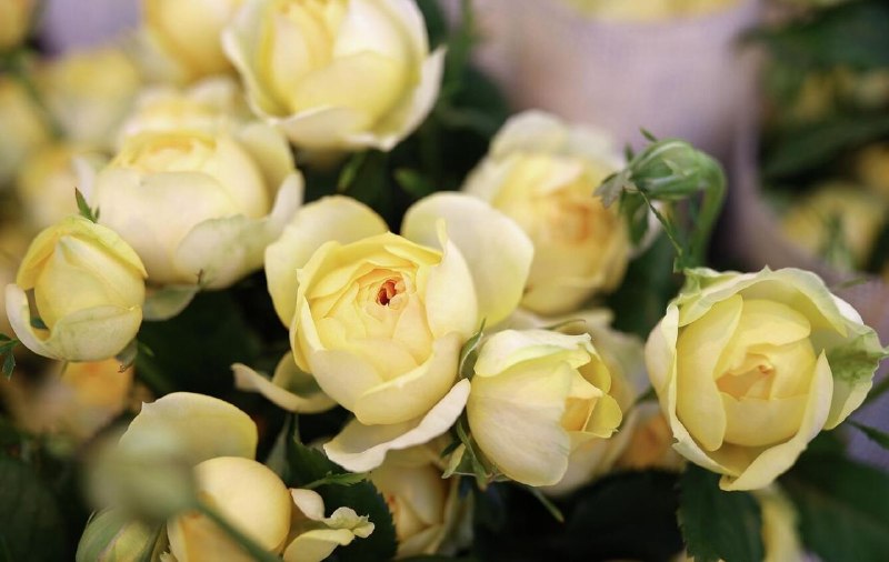 Мошенники обманули девочку на 700 тысяч рублей под видом доставки цветов