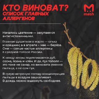 Самая жёсткая весна для аллергиков за 10 лет