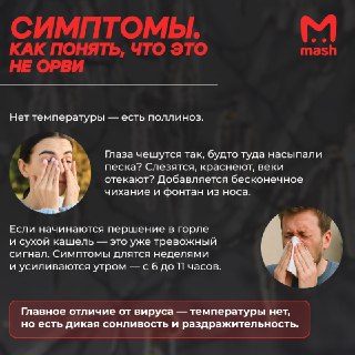 Иллюстрация 1