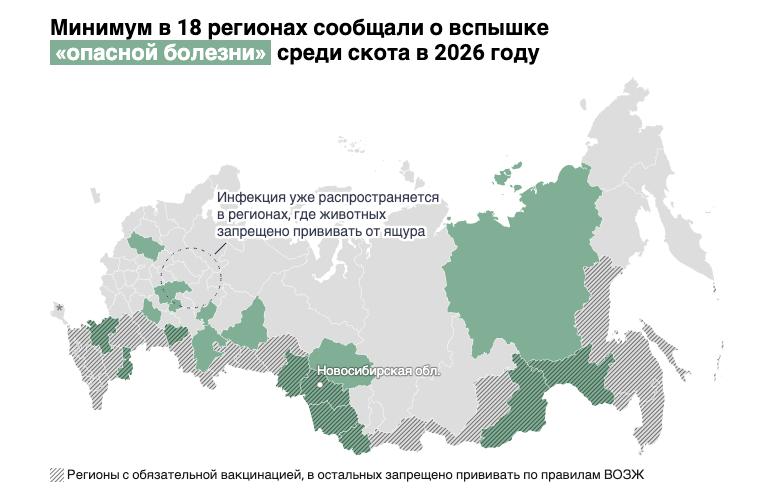 Власти скрывают эпидемию ящура: уничтожено 90 000 животных