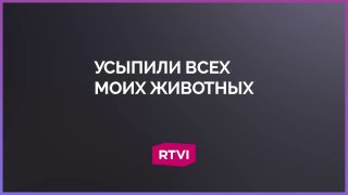 Встречи с властями из-за забоя скота не дают результатов
