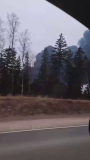 Иллюстрация 2