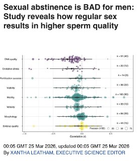 Воздержание от секса вредит мужскому здоровью, подтвердили учёные