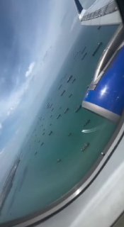 Иллюстрация 1