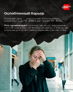 Иллюстрация 4