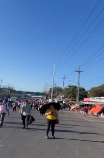 Иллюстрация 1