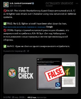 Иллюстрация 3