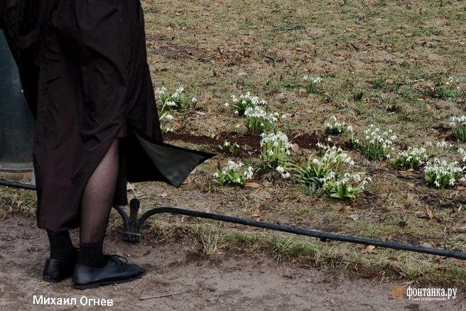 Прогноз погоды в Петербурге на 26 марта: дождь и +10…+12