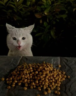 Иллюстрация 2