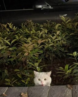 Иллюстрация 5