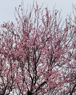 Иллюстрация 4