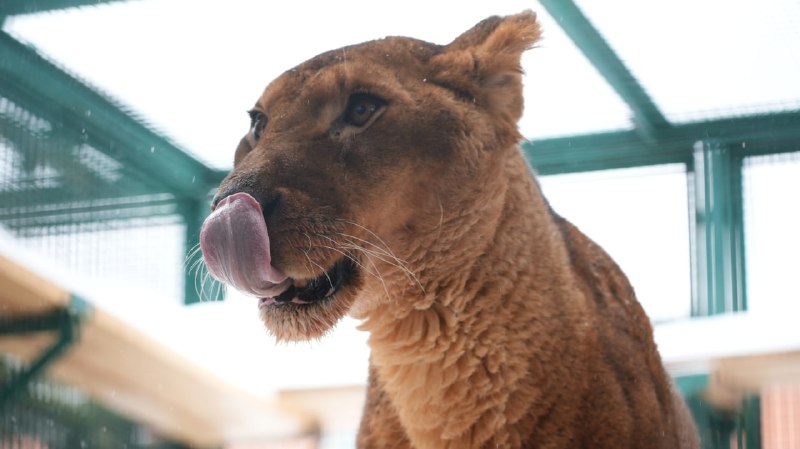 Иллюстрация 2