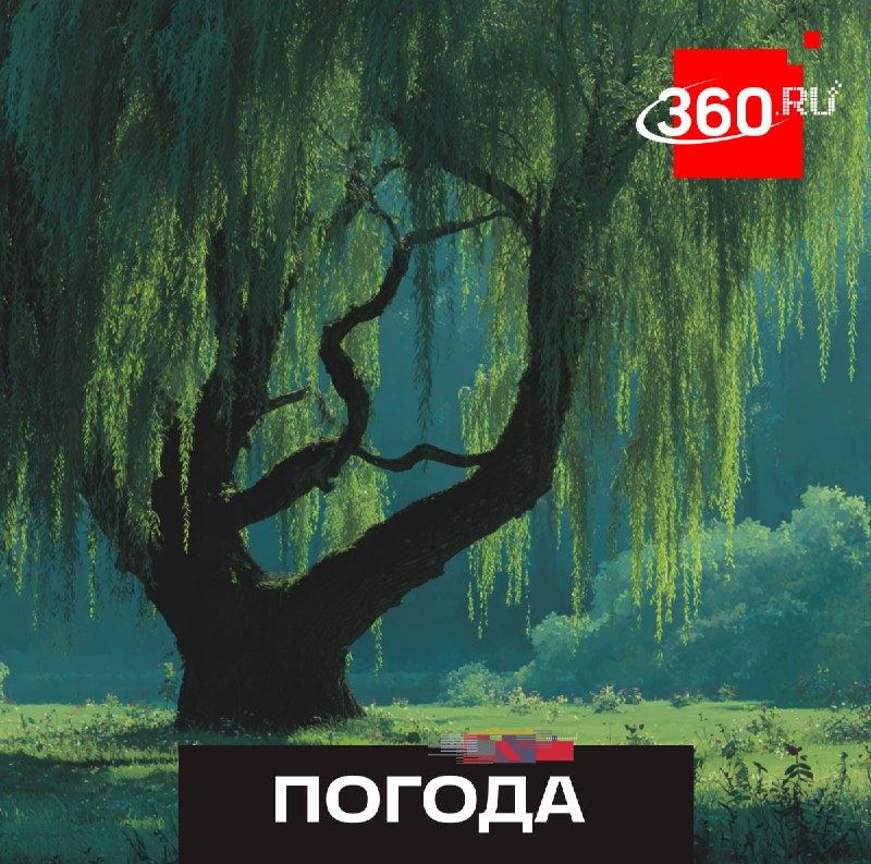 Полный сход снега в Подмосковье спрогнозировали к Пасхе