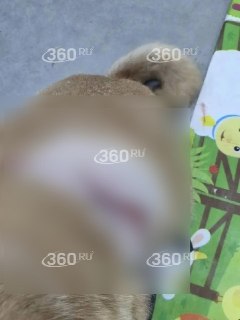 Иллюстрация 2