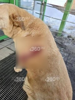 Иллюстрация 3