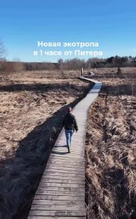 В Ленобласти открылась новая экотропа к Тосненскому водопаду