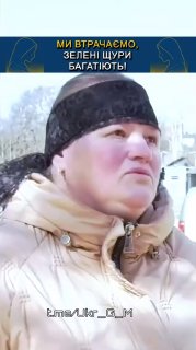 Иллюстрация 5