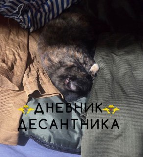 Дневник Десантника: призыв отдохнуть и пожелание безопасной ночи