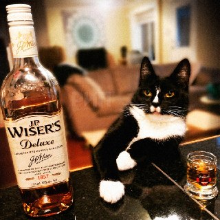 Международный день виски отмечается сегодня