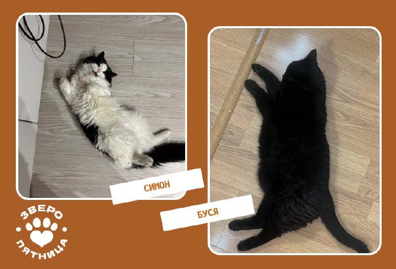 Иллюстрация 2