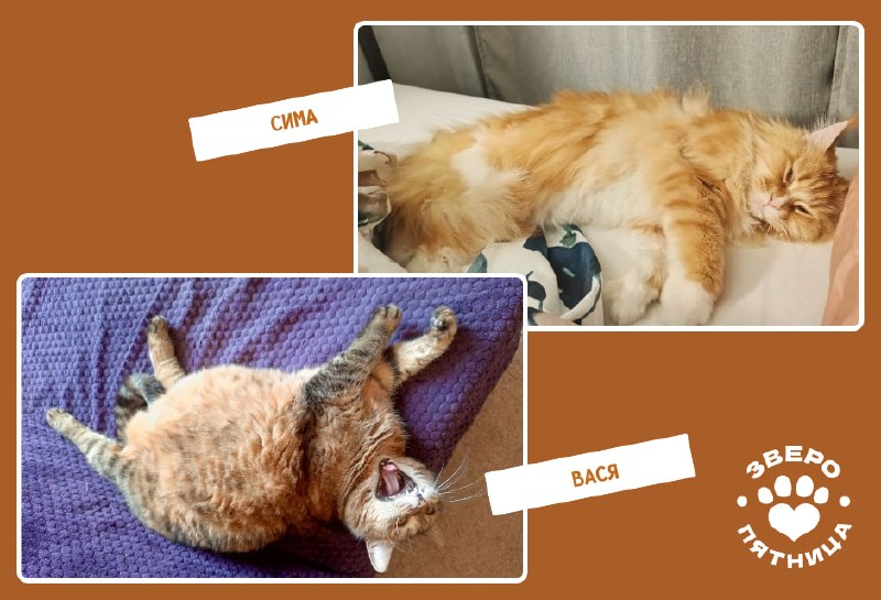 Иллюстрация 4