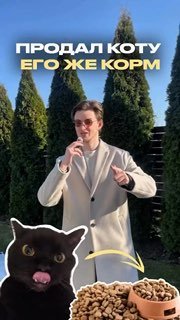 Чел приучил кота к корму с помощью маркетинга