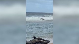 Три человека погибли при падении вертолета на Гавайях