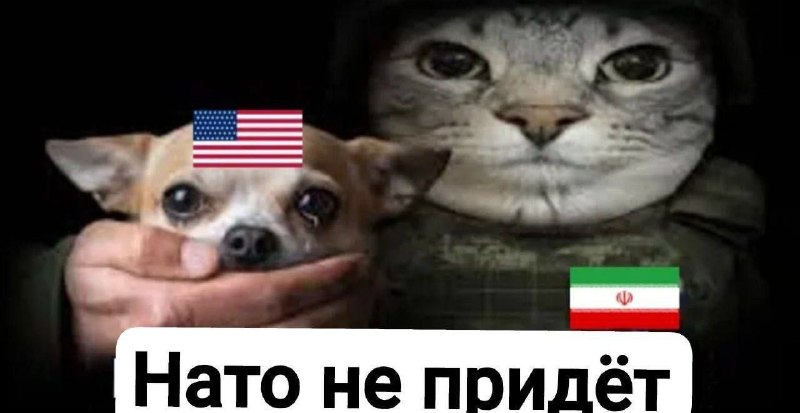 КСИР призывает покинуть районы с американскими войсками