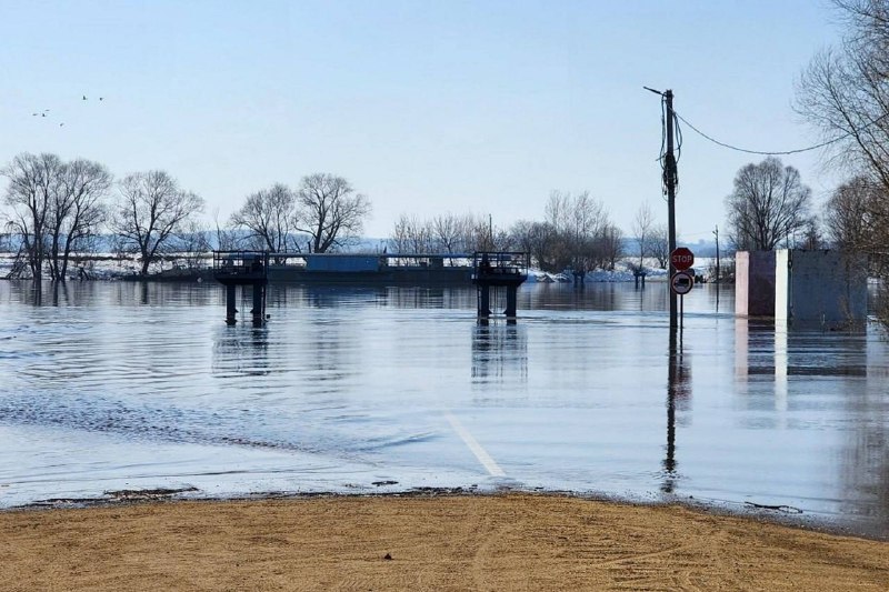 Сильное половодье в Подмосковье: ограничения движения в Коломне и Луховицах
