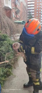 Иллюстрация 2