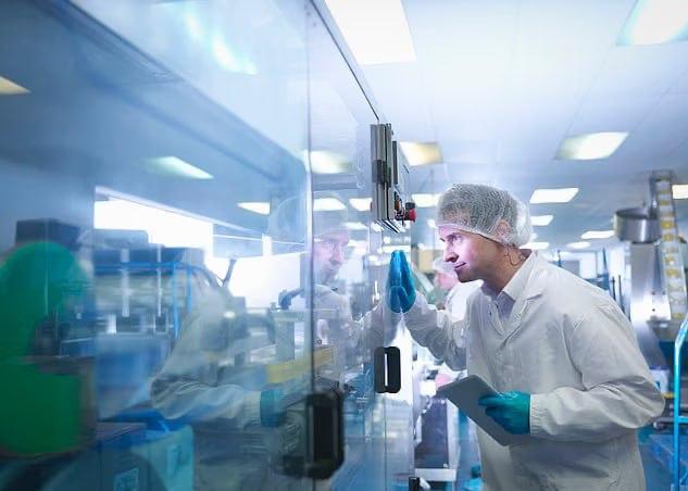 В США планируют создать «безголовых людей» для замены животных в науке